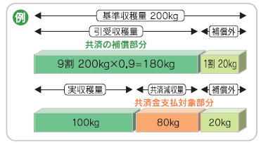 例